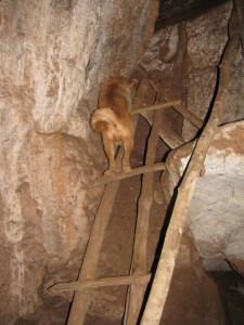 Chiang Mai and Pai 122